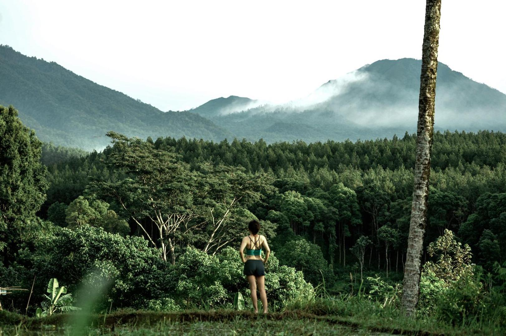 Ijen Resort And Villas - The Hidden Paradise Banyuwangi  Exteriör bild