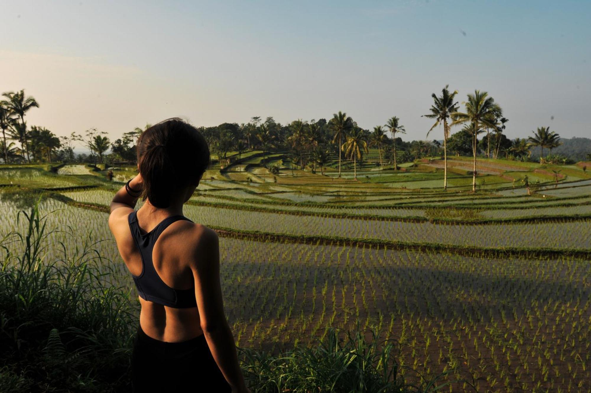 Ijen Resort And Villas - The Hidden Paradise Banyuwangi  Exteriör bild
