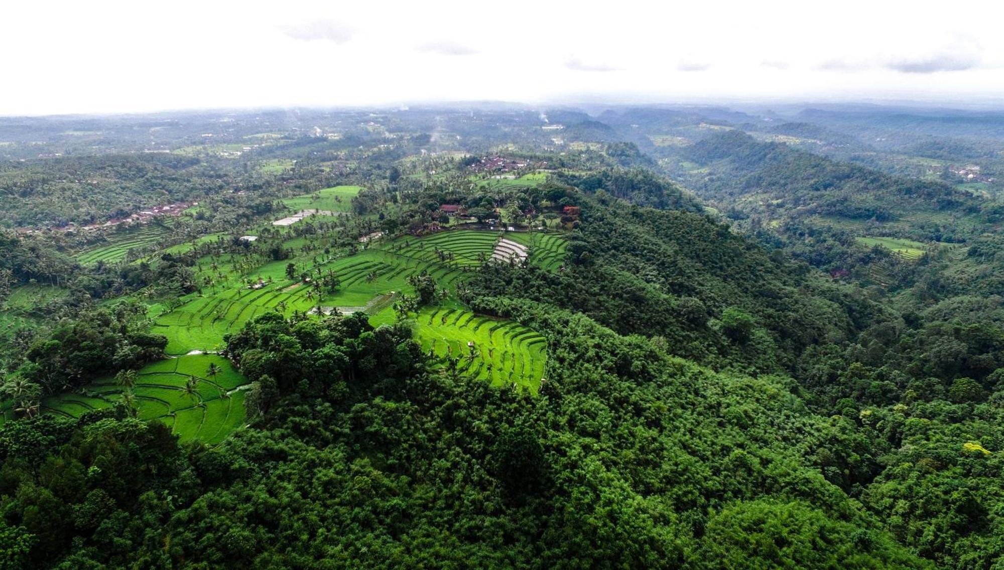 Ijen Resort And Villas - The Hidden Paradise Banyuwangi  Exteriör bild