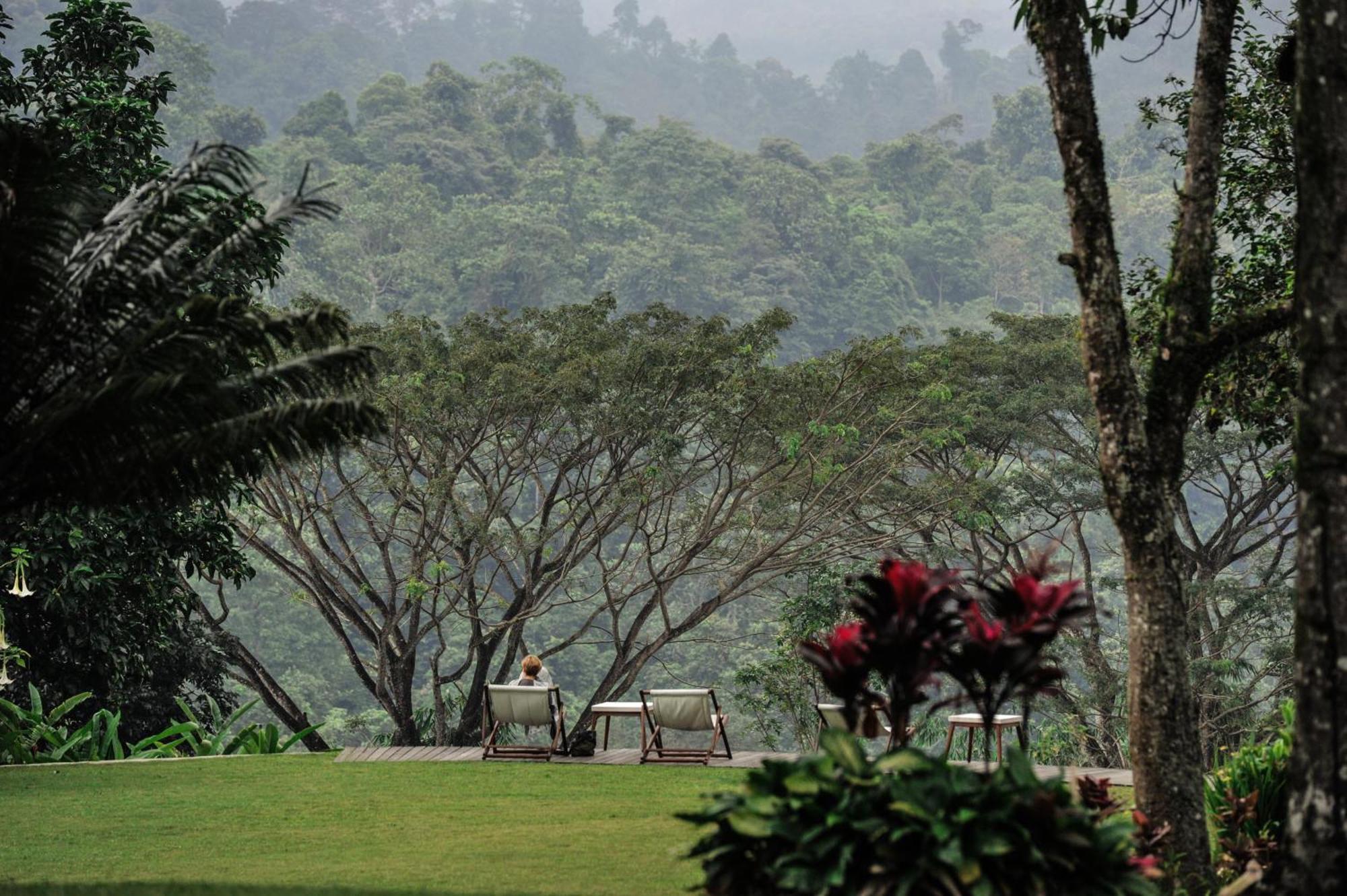 Ijen Resort And Villas - The Hidden Paradise Banyuwangi  Exteriör bild