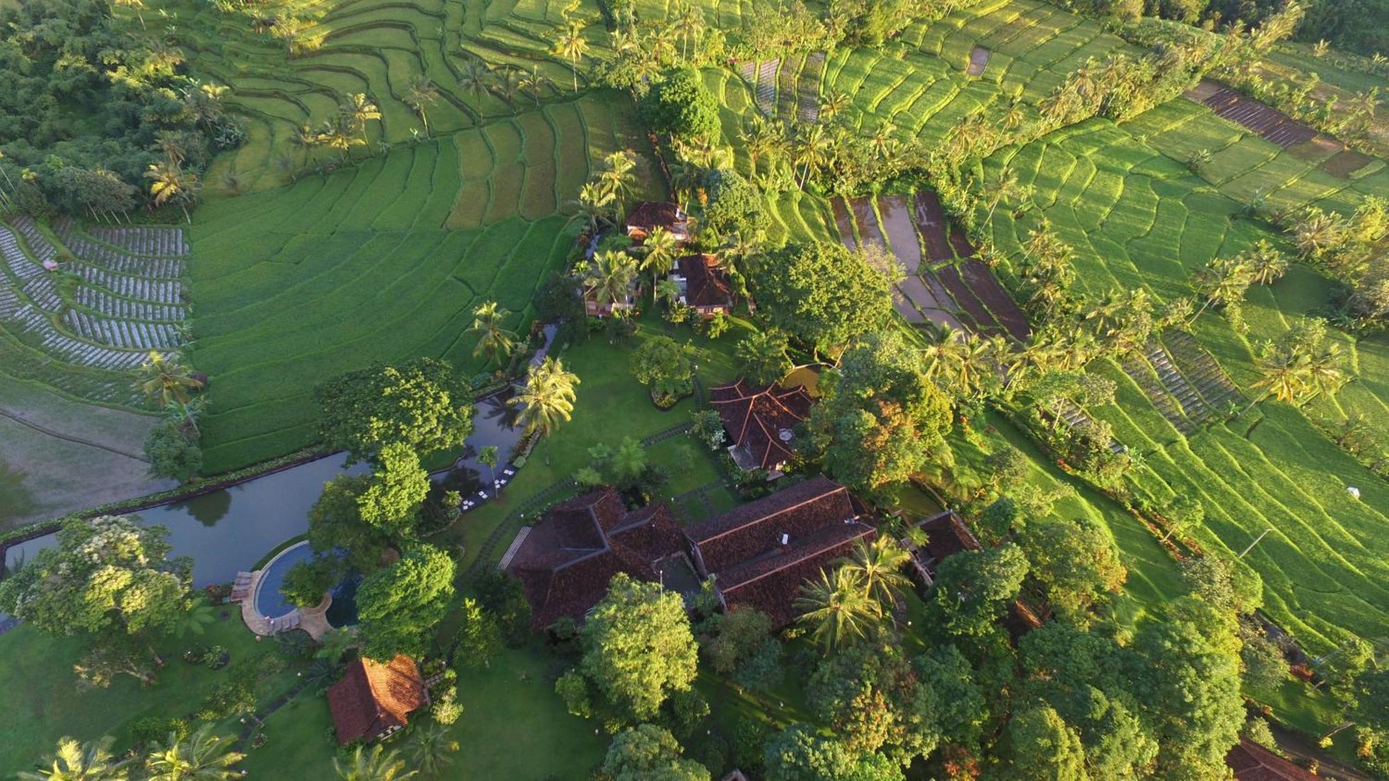 Ijen Resort And Villas - The Hidden Paradise Banyuwangi  Exteriör bild