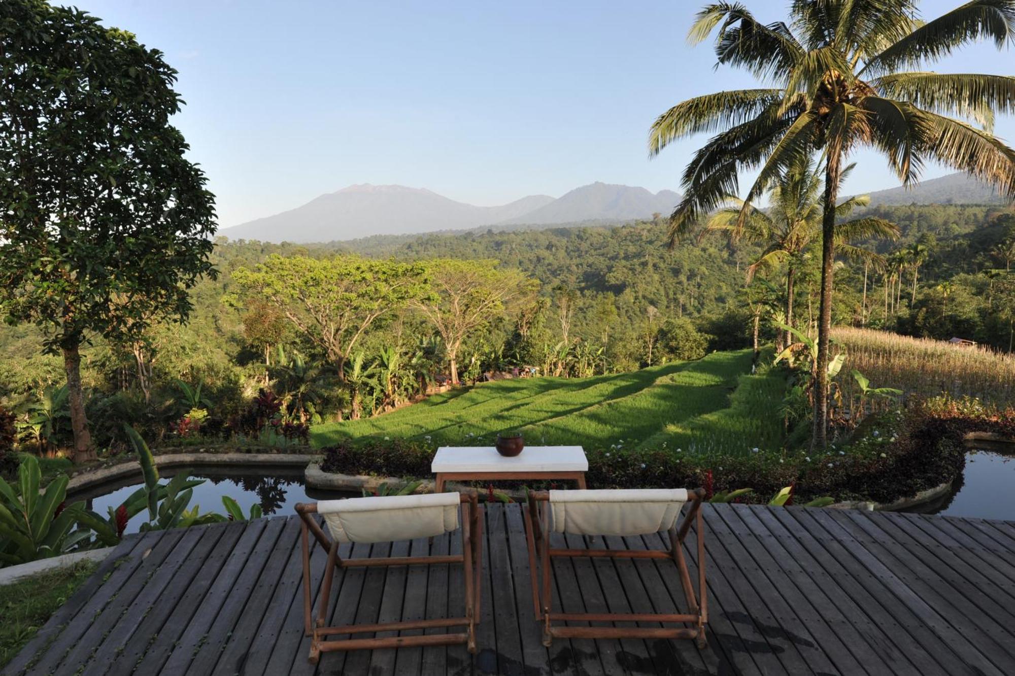 Ijen Resort And Villas - The Hidden Paradise Banyuwangi  Exteriör bild