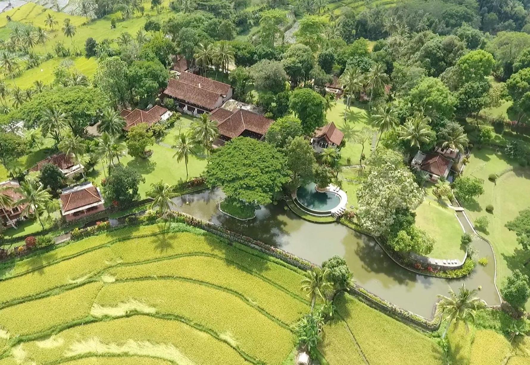 Ijen Resort And Villas - The Hidden Paradise Banyuwangi  Exteriör bild