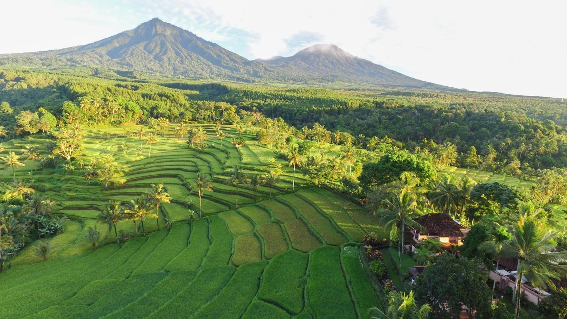 Ijen Resort And Villas - The Hidden Paradise Banyuwangi  Exteriör bild