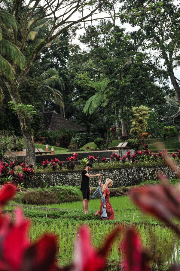 Ijen Resort And Villas - The Hidden Paradise Banyuwangi  Exteriör bild