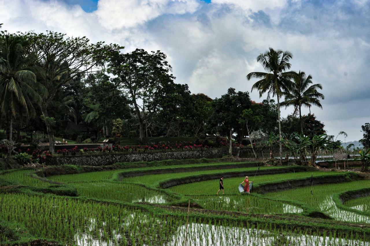 Ijen Resort And Villas - The Hidden Paradise Banyuwangi  Exteriör bild